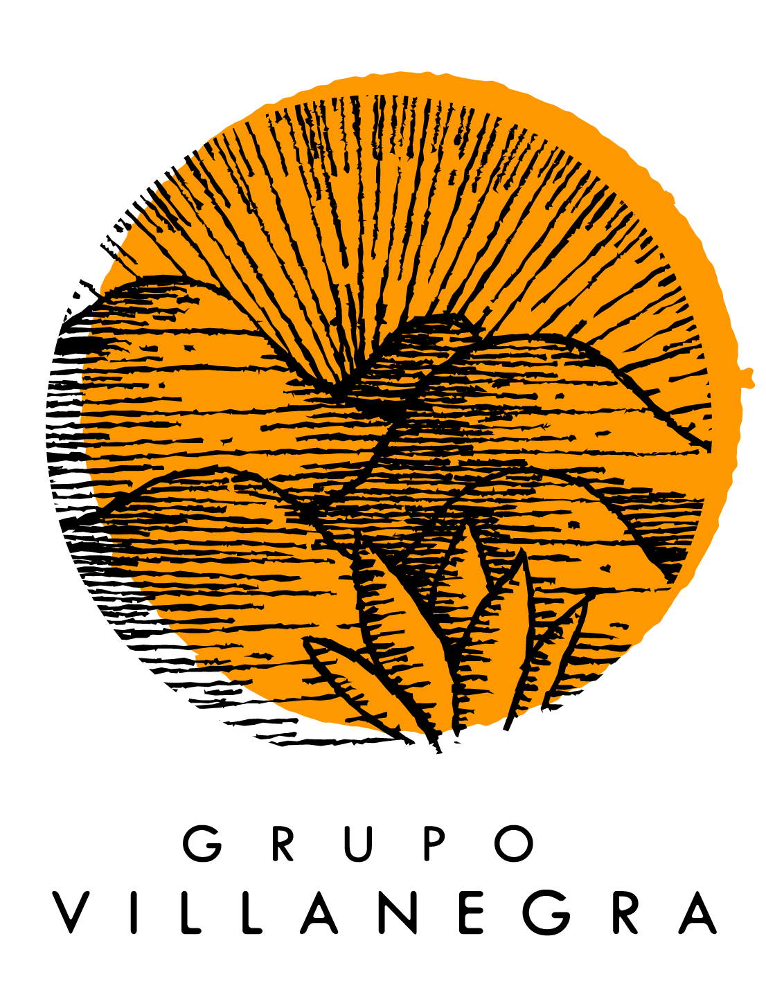 Deira Logo